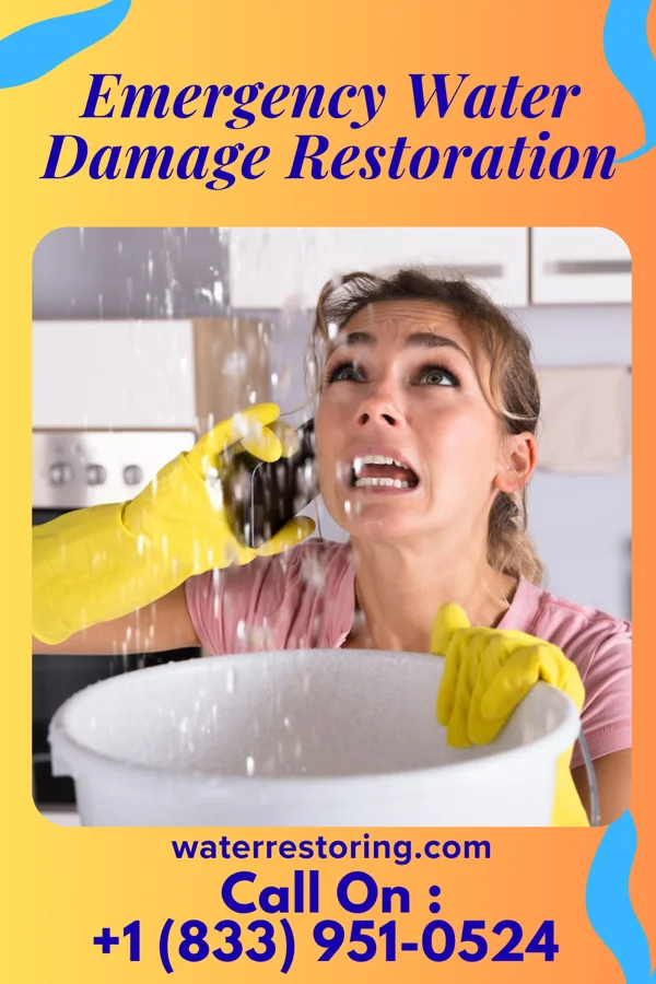 Emergency Water Damage Restoration in Constableville, NY