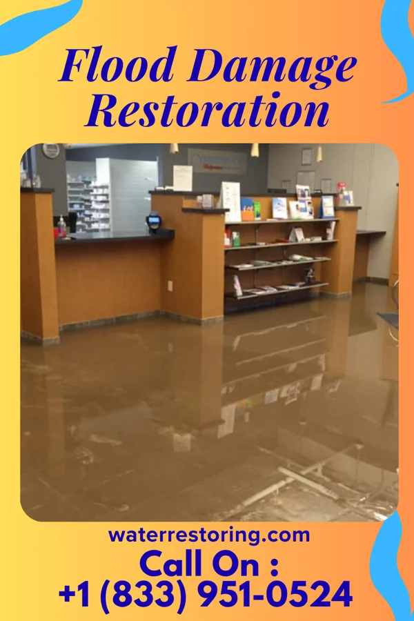 Flood Damage Restoration in Constableville, NY