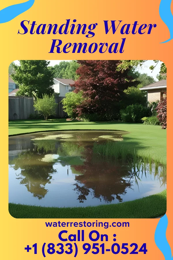 Standing Water Removal in Constableville, NY